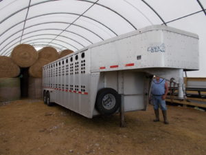 24' Wilson 6' x 8" inside Cattle trailer