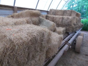 50 bales good mixed hay